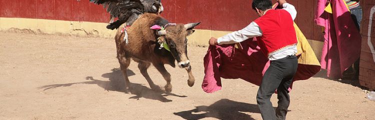 Yawar Festa e Cápac Raymi | Festividades culturais do Peru